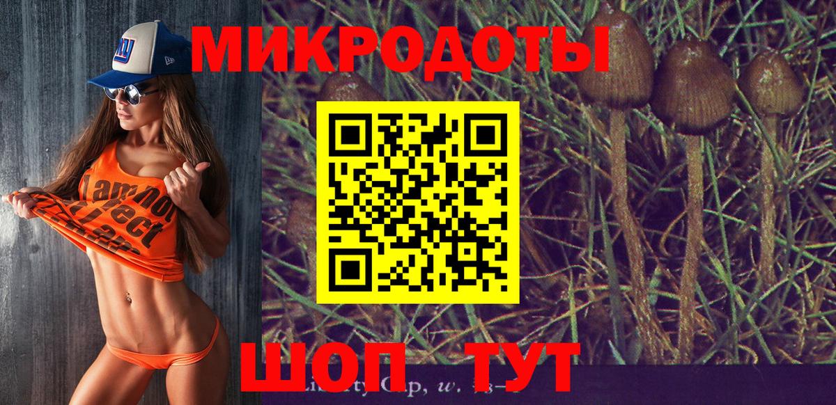 Галлюциногенные грибы Psilocybine cubensis  Псилоцибиновые грибы мухоморы  Люберцы  Вход с VPN 